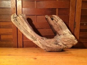 Beautiful 18" DRIFTWOOD Piece  Terrarium Taxidermy Aquarium Beach Wood DECOR - Picture 1 of 10