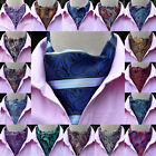 Foulards formels pour hommes imprimés paisley cravate ascot fête de mariage cravate haute qualité