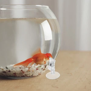 5 piezas abrazaderas pecera planta ventosa clip peces algas clip - Imagen 1 de 12