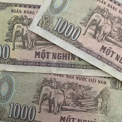 3 Pcs Set Used Vietnam 1000 Dong Banknote 1991 Elephant Vietnamese Currency Lot - Image 1 of 3