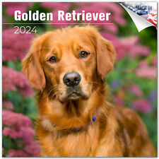 Calendrier des races Golden Retriever 2024 TAILLE COMPLÈTE 12x24 fabriqué aux États-Unis