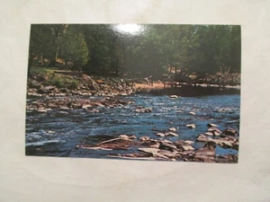 Delaware Postcard Brandywine Creek Wilmington DE - Picture 1 of 2