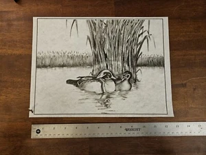 Tri-Chem 7082 Wood Ducks Picture To Paint Outdoor Water Fowl 12"x9" NOS 1985 USA - Picture 1 of 3