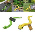 RC Snack Toy Electronic Pet Game Play RC Realistic Snake Toy for Tricks April