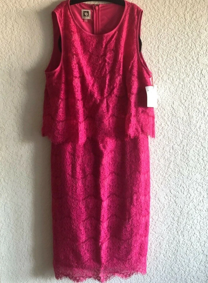 Nuevo con etiquetas Vestido Vaina Anne Klein Flor Rosa Vieira Encaje Pop Over Sin Mangas Talla 10 Foto 1 de 4