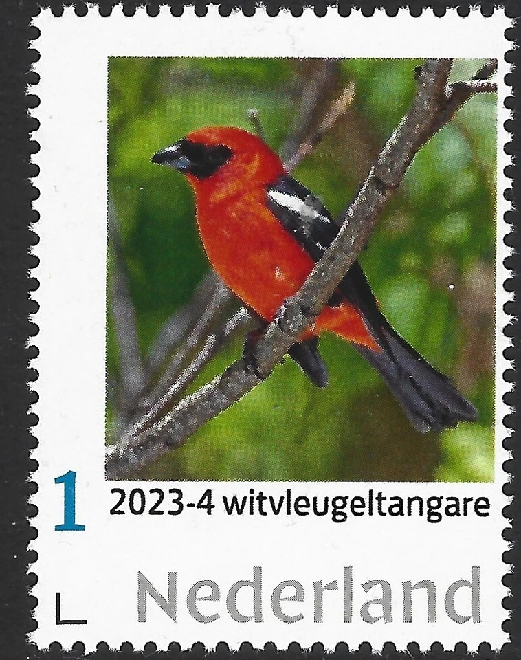 Países Bajos 2023-4 Aves: Tangare alado blanco mnh Foto 1 de 1