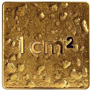 LETONIA 10 EURO ORO PURO 2025 NUESTRA TIERRA LATVIJA GOLD OUR LAND - Picture 1 of 2