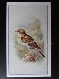 No.5 TREE PIPIT - Birds (Series of 25) by P.J. Carroll & Co 1939 - Picture 1 of 1