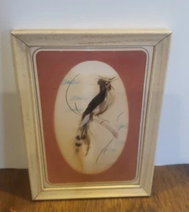 Vintage Mid-Century Folk Art Framed Matted Bird Picture  Feathercraft  5x7in - Picture 1 of 18