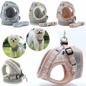 Small Dog Breathable Mesh harness Vest Collar soft chest strap XXS-L Leash set - Picture 1 of 18