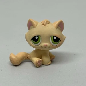 Authentisches Littlest Pet Shop selten #273 sitzendes Kätzchen Katze dunkelgrüne Augen Röhren - Bild 1 von 7