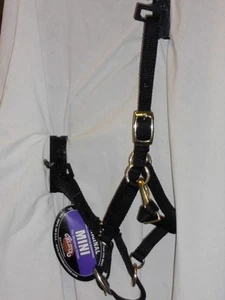 Weaver Miniatur Pferd verstellbar Kinnhalfter schwarz - Bild 1 von 1