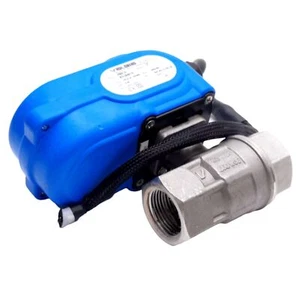 Valbia VB010 LT Attuatore Elettrico Valvola, 24VAC/DC .6A, 89in-lbs, Con Valvola 1" - Foto 1 di 7