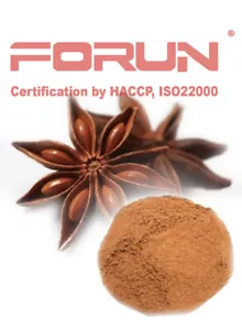 Polvo de anís estrellado FORUN premium (molido) - sabor puro y fuerte - Imagen 1 de 1