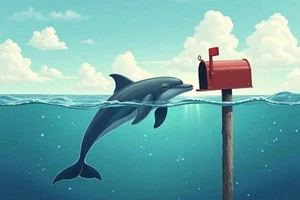 NEW Custom Premium Printed 4x6 Postcard Dolphin Mailbox Ocean sea life - Picture 1 of 1