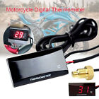 Produktbild - Digital Motorrad Kühlwasser Temperaturanzeige Thermometer Sensor Rot LCD 12V