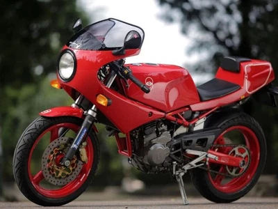GILERA SATURNO BIALBERO WORKSHOP MANUAL REPAIR SERVICE PDF ON DVD ENGLISH - Imagen 1 de 4