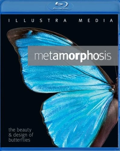 Metamorphosis [Blu-ray] - Image 1 of 1