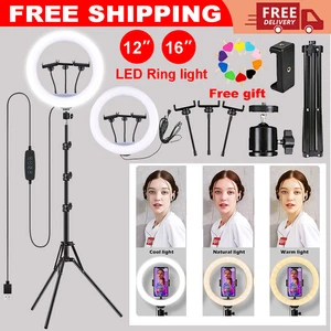 HINSINC 12/14'' LED Selfie Ring Light with Tripod Stand & Cell Phone Holder Makeup Live