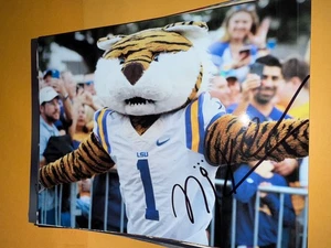 Mike the Tiger LSU Maskottchen signed 8x10 Foto - Bild 1 von 1