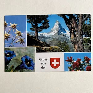 Gruss Aus Der Switzerland Multiview Mountain Flower Unposted Postcard - Picture 1 of 3