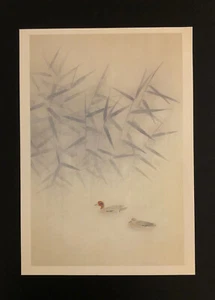 Vintage Japanese Woodblock Print Shoko Uemura “Reed” Birds 14 3/8 X 10 1/8 inch - Picture 1 of 11