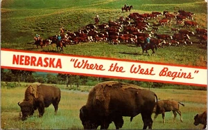 Where the West Begins Roundup Time and Herd of Buffalo NEBRASKA POSTAL D13 - Imagen 1 de 2