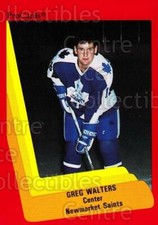 1990-91 ProCards AHL IHL #147 Greg Walters