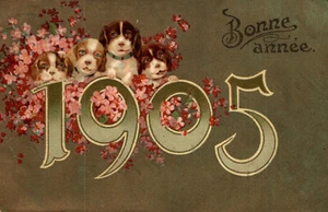 ANNO DATA 1905 - YEAR DATE 1905 - Cani, Dogs - VG - #004 - VEDI RETRO! - Picture 1 of 2