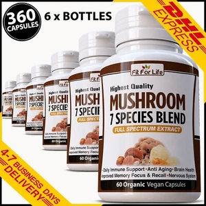360 PILLS MUSHROOM BLEND 7 ORGANIC REISHI LIONS MANE CHAGA BRAIN MEMORY EXTRACT - Picture 1 of 8