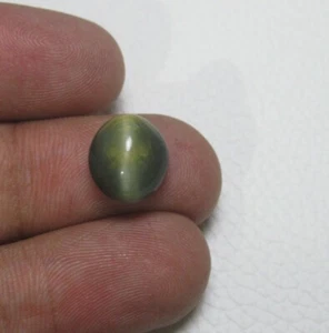 Cat's Eye Cabochon Oval 4.90 ct Natural Loose Semi Precious Gemstone G 4021 - Picture 1 of 3