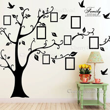 * Huge *Family Tree Wall Stickers Birds Photo Frame Art Decals Home Decor