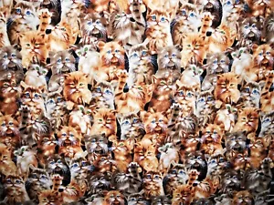 Curtain Valance Cat Cats Kitten Tan Gold Brown Rust Black Gray 42 x 14 Topper - Picture 1 of 1