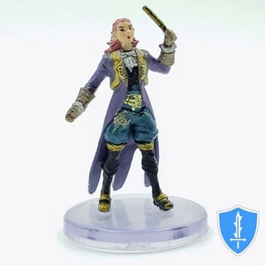 Half-Elf Enchanter - Rusty Dragon Inn #34 Pathfinder Battles D&D Wizard - Imagen 1 de 2