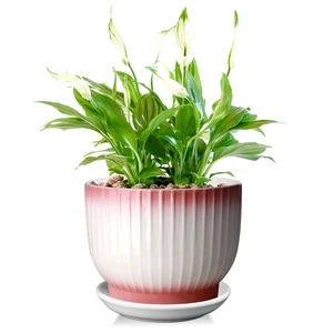 8 Inch Plant Pot Ceramic Planter With Drainage Saucer Pink White Flower Indoor - Foto 1 di 7
