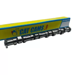 Árbol de levas deportivo Cat Cams 1302461 para MINI Cooper S R52 R53 2002 a 2006 - Imagen 1 de 14