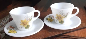 Vintage Pair of Pyrex JAJ Cup and Saucer AUTUMN GLORY Design - Picture 1 of 7