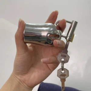 Chastity Cage Padlock Bondage Lock Up Restraint Piercing PA Wand Prince Albert - Picture 1 of 16