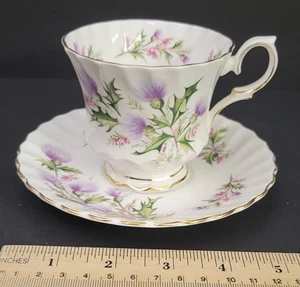 Taza de té y platillo de cardo Queen Anne Lochinvar - Imagen 1 de 4
