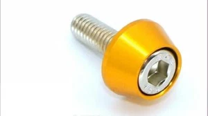 CAR GOLD STAINLESS STEEL LICENSE PLATE SCREWS 4 Pieces No.41 - Picture 1 of 5