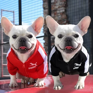 Baseball Dog Jacket Sweatshirt for French Bulldog Chihuahua Pug UK - Picture 1 of 10