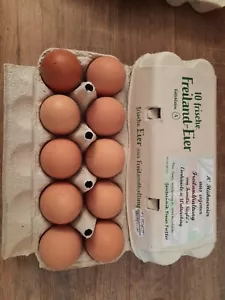 50 frische Hühner Eier aus Freilandhaltung. Grösse L und M. Ohne Gentechnik. - Bild 1 von 1
