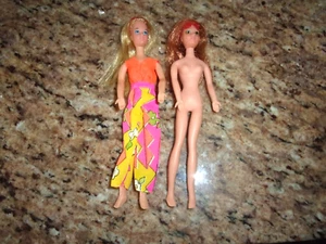 Vintage 1970 Mattel Rock Flower Dolls Heather - Picture 1 of 3