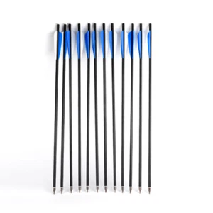 6Pcs 20” SP300 Carbon Arrow Changeable Arrowhead Archery Hunting Practice - Picture 1 of 11