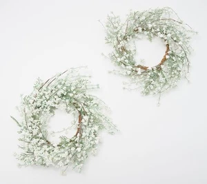 Winter Garden Set of 2 18" Frosted Berry & Cedar Rings by Valerie in White - Picture 1 of 1