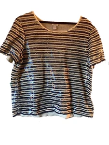 Chicos Striped Sequin Knit Top Vintage Blue Gray Oversized Fit - Picture 1 of 3