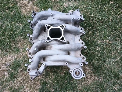 1999-2004 Ford Mustang 4,6 л профессиональные продукты впускной коллектор 2V GT Typhoon - Изображение 1 из 4