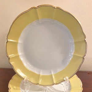 Nymphenburg 2697 Rococo Porcelain YELLOW Rim 9.84" Scalloped Edge LUNCHEON PLATE - Picture 1 of 21