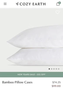 Cozy Earth Bamboo King Sized Pillowcases - Picture 1 of 3