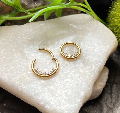 1pc Inner CNC Gems Hinged Segment Ring 16g Septum Clicker 316L Surgical Steel - Image 1 of 3
